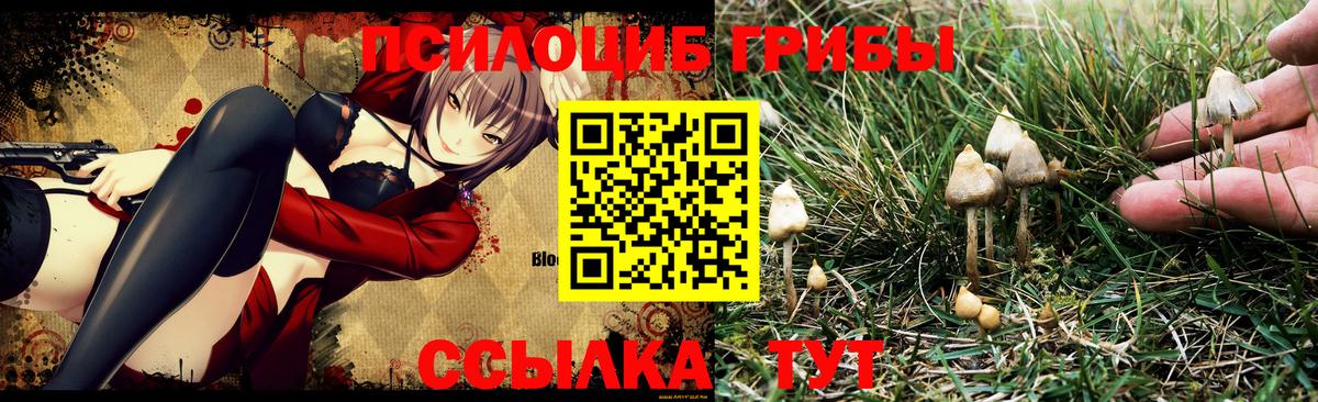 Галлюциногенные грибы Cubensis Джанкой