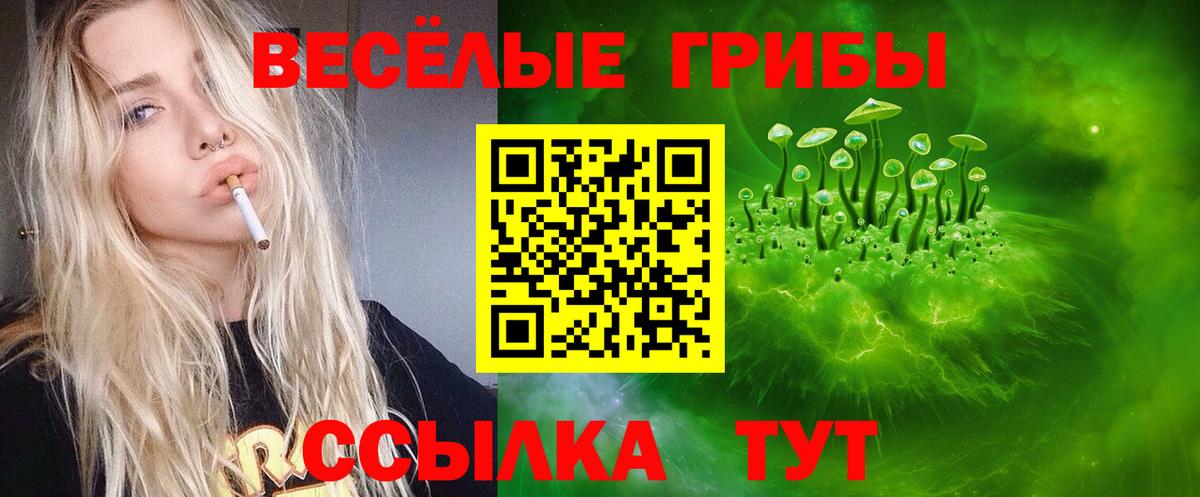 купить наркотики цена  Галлюциногенные грибы прущие грибы  Вход с VPN  Галлюциногенные грибы Magic Shrooms  Джанкой 